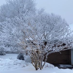 Meet your Posher, Jose j